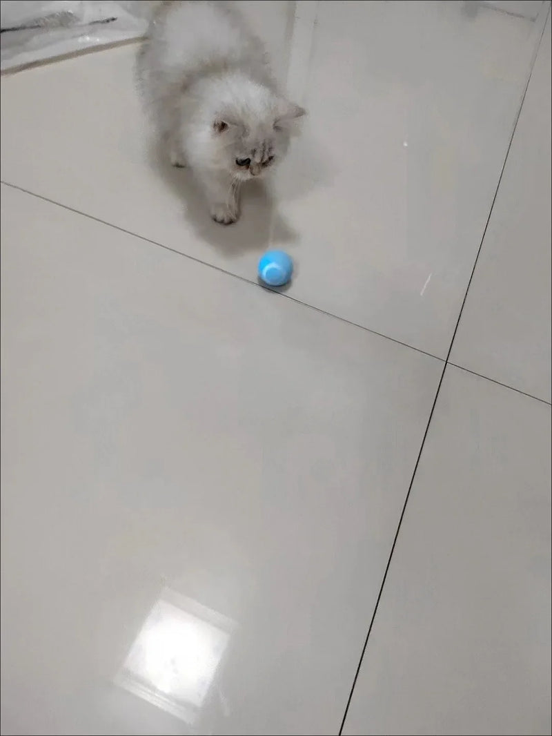 Rolling Magic Ball para Animais de Estimação, Brinquedos Interativos Inteligentes, Interior, Eletrônico, Cat Game Acessórios