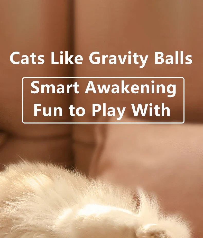 Rolling Magic Ball para Animais de Estimação, Brinquedos Interativos Inteligentes, Interior, Eletrônico, Cat Game Acessórios